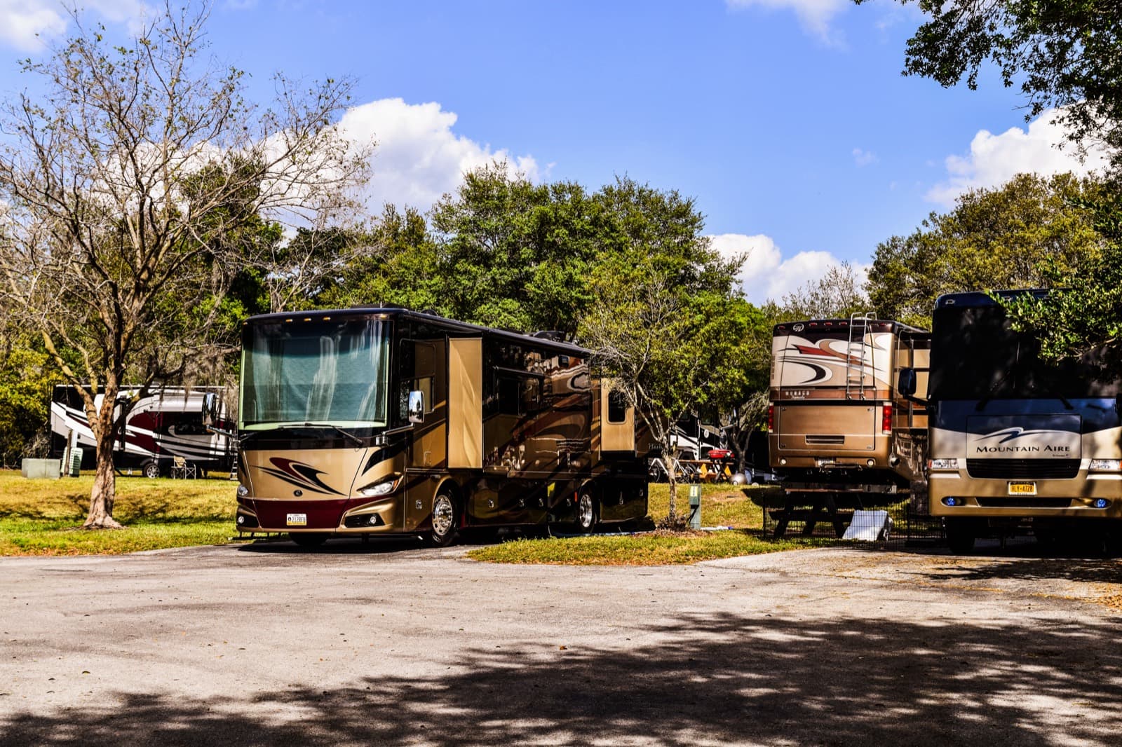 Motorhomes parked at a wooded RV park